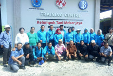 Mandiri Berdikari dan Berkesinambungan, Cara Kelompok Tani Mekar Jaya Wujudkan Klaster Bawang Merah di Brebes 