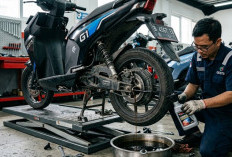 Oli Gardan Motor Listrik: Fungsi, Jadwal Penggantian, Tanda Harus Diganti dan Tips Perawatannya