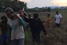 Penemuan Mayat di Brebes Gegerkan Warga Cimohong Bulakamba