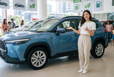 Daftar Mobil Hybrid Murah 2026 di Bawah Rp300 Juta: Pilihan Paling Worth It untuk Keluarga