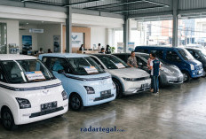 Update Pasaran Bulan Ini! Cek Harga Mobil Listrik Bekas Termurah September 2026