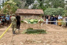 Anak Bacok Ayah Kandung di Pengarasan Brebes Terancam 15 Tahun Penjara