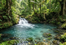 Daftar Pemandian Alam di Pemalang: Rekomendasi Tempat Berendam & Relaksasi Favorit