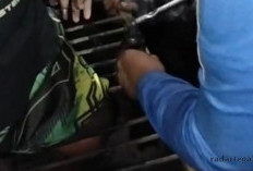 Kaki Remaja Terjepit Jeruji Trasa Tegal, Damkar Turun Tangan!