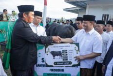 Warga Huntara Tegal Dapat Kado Iduladha dari Gubernur Jateng Sapi Seberat 906 Kg