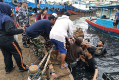 Sempat Hilang, Korban Kapal Tenggelam di Perairan Tegal Ditemukan