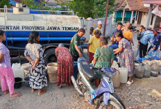 175.904 Hektar di Brebes Berpotensi Alami Kekeringan