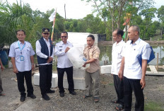 Pemkab Brebes Serahkan 105.000 Ekor Bantuan Ikan Kakap ke 3 Pokdakan