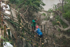 Tanggul Cisanggarung Kritis, Pemukiman Warga Losari Brebes Terancam