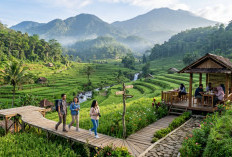 5 Tempat Wisata Hits di Pemalang yang Pas Banget Buat Healing Akhir Pekan, Suasana Syahdu & Udara Sejuk! 