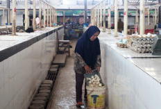 Eksistensi Pasar Tradisional di Tegal Terancam, Pasar Tiban Disebut Jadi Biangnya