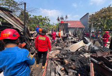 Dua Kebakaran Terjadi di Kabupaten Tegal dalam Sehari, Diduga Dipicu Aktivitas Pembakaran