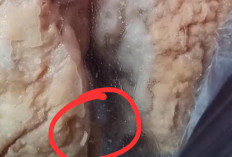 Viral! Wali Murid Temukan Belatung dalam Menu MBG di Brebes