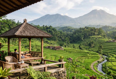 Udaranya Sejuk Pemandangannya Indah! Ini Rekomendasi Tempat Santai di Jawa Tengah