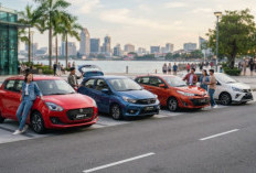 Daftar Mobil Ramah Budget untuk Anak Muda: Rekomendasi Hatchback & City Car Keren