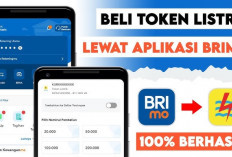 Berkat BRImo, IRT di Empat Lawang Ini Tak Perlu Lagi ke Kota Buat Beli Token Listrik