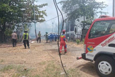 Kandang Ayam di Brebes Terbakar, Puluhan Ribu Ekor DOC Mati Terbakar
