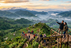 Rekomendasi Wisata Alam Pegunungan di Batang untuk Lepas Penat di Akhir Pekan