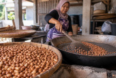 Kacang Bogares Tegal Kembali Jadi Perbincangan, Apa yang Membuat Camilan Ini Begitu Khas?