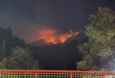 Karhutla Gunung Lawu dan Sumbing Meluas, Pemprov Jateng Kerahkan Helikopter Water Bombing