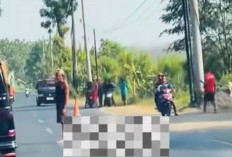 Kronologi Kecelakaan di Pegongsoran Pemalang, 1 Korban Meninggal Dunia