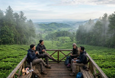 Healing Weekend Tegal Brebes: 5 Wisata Dekat dan Hemat