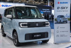 Suzuki e-Sky Terdaftar di Indonesia, Seperti Apa Mobil Listrik Mungil Ini?