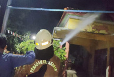 Diduga Korsleting Listrik, Rumah dan Hewan Ternak di Pesantunan Brebes Terbakar