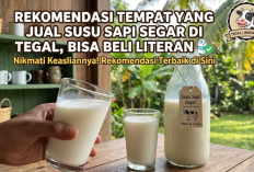Rekomendasi Tempat yang Jual Susu Sapi Segar di Tegal, Bisa Beli Literan