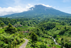 Wisata Alam Kabupaten Tegal Paling Hits 2026, dari Pemandian Air Panas Guci hingga Tebing Danau Beko Eksotis