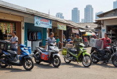 Motor Honda untuk UMKM: 4 Pilihan Sesuai Modal, dari Usaha Rumahan hingga Kurir