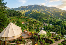 Rekomendasi Wisata Glamping di Tegal Murah untuk Liburan Keluarga di Kaki Gunung Slamet