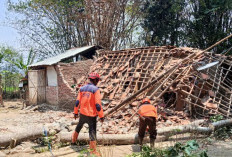 Angin Kencang Terjang Tonjong Brebes, Pohon Timpa Rumah hingga Rusak Berat