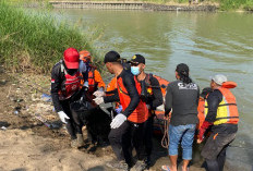 Tiga Hari Dicari, Bocah Tenggelam di Sungai Comal Pemalang Ditemukan Meninggal 
