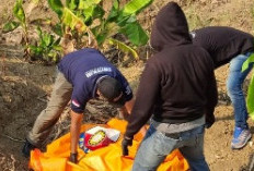 Dikira Helm, Warga Temukan Jasad Lansia di Hutan Karangmalang Tegal