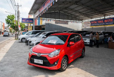 7 Mobil Bekas Toyota yang Pajaknya Murah, Cocok untuk Kendaraan Harian