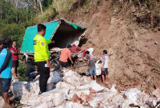 Kecelakaan Truk Boks di Tersono Batang: Sopir Meninggal Usai Hantam Tebing