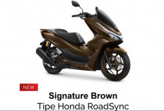 Honda PCX 160 Terbaru Punya Warna Baru, Ada Phenomenal Blue hingga Signature Brown