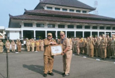 Perangkat Daerah Teraktif Kelola Informasi Publik di Pemalang Terima Penghargaan