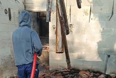 Warung dan Bengkel di Jalan Kersana-Tanjung Brebes Terbakar