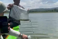 Jaga Ekosistem, 2.500 Benih Ikan Nila Ditebar di Waduk Cacaban Kabupaten Tegal