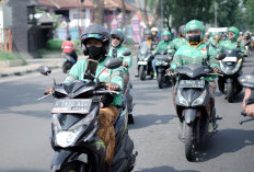 Jadi Queen of the Road: 5 Tips Berkendara Zen agar Perempuan Tetap Aman dan Stunning!