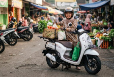 5 Matic Honda yang Nyaman Buat ke Pasar dan Bisa Bawa Banyak Belanjaan, Mana Pilihan Terbaik?
