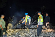 Hutan Pinus Perhutani Kebumen Kebakaran: Api Padam 2 Jam, Setengah Hektare Area Hangus