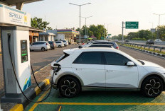 10 Sebab Banyak Orang Mulai Suka Mobil Listrik, Hemat Biaya dan Canggih