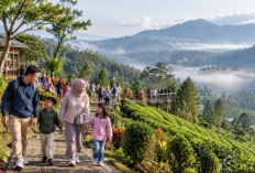 Wisata Brebes untuk Liburan Keluarga, Ada Pilihan Selain Pantai?