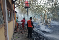 Lima Ruangan Rusak, Kebakaran SMAN 1 Bantarkawung Brebes Berawal dari Lahan Kering