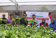Aksi Nyata Sharp Berdayakan Ibu Muda Bekasi Lewat Bisnis Hidroponik