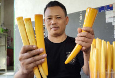 UMKM Pipa Gading Pecangakan Tegal Tembus Pasar Mancanegara, Pencipta Kutuk Perburuan Gajah Liar