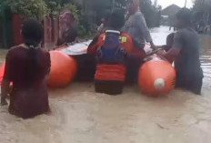 Suradadi Tegal Banjir Parah! 2.300 Rumah di 3 Desa Terendam Luapan 2 Sungai